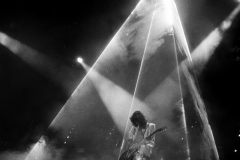 Led Zeppelin 77175